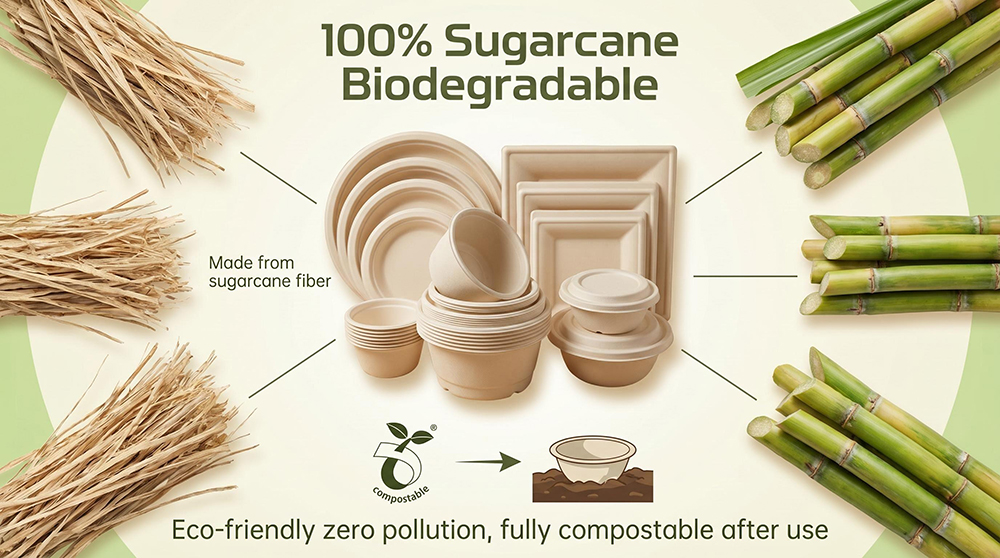 New Trend - Sugarcane material tableware